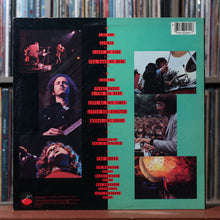 Load image into Gallery viewer, The Doors - Alive, She Cried - INSERT 1983 Elektra, VG/VG 2