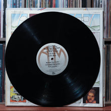 Load image into Gallery viewer, The Ozark Mountain Daredevils - It'll Shine When It Shines - w/ SHRINK HYPE - 1974, VG+/VG+ 3