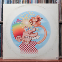 Load image into Gallery viewer, The Grateful Dead - Europe '72 - 3LP W/ BOOKLET 1972 Warner Bros., VG/VG+ 4