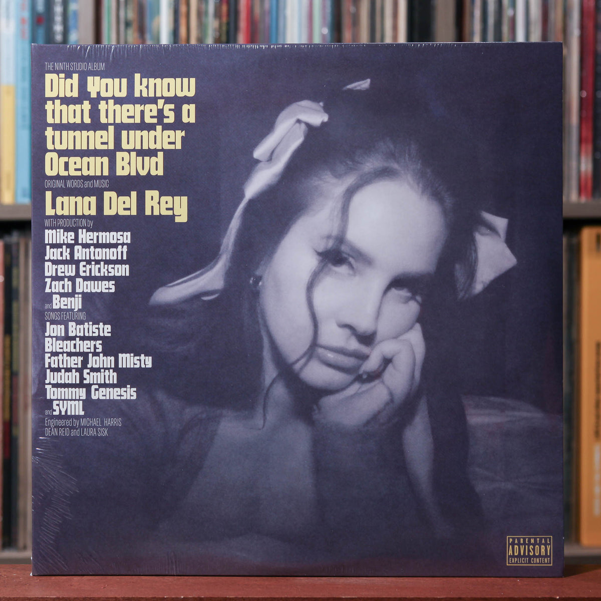 欧2LP Lana Del Rey Did You Know That Theres A Tunnel Under Ocean Blvd 4859195 Polydor /00520 Lana Del Rey – Did You Know That There's A Tunnel Under