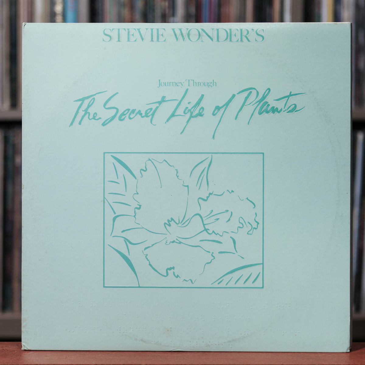 スティーヴィー・ワンダー The Secret Life of Plants Stevie Wonder: Stevie Wonder's Journey Through the Secret
