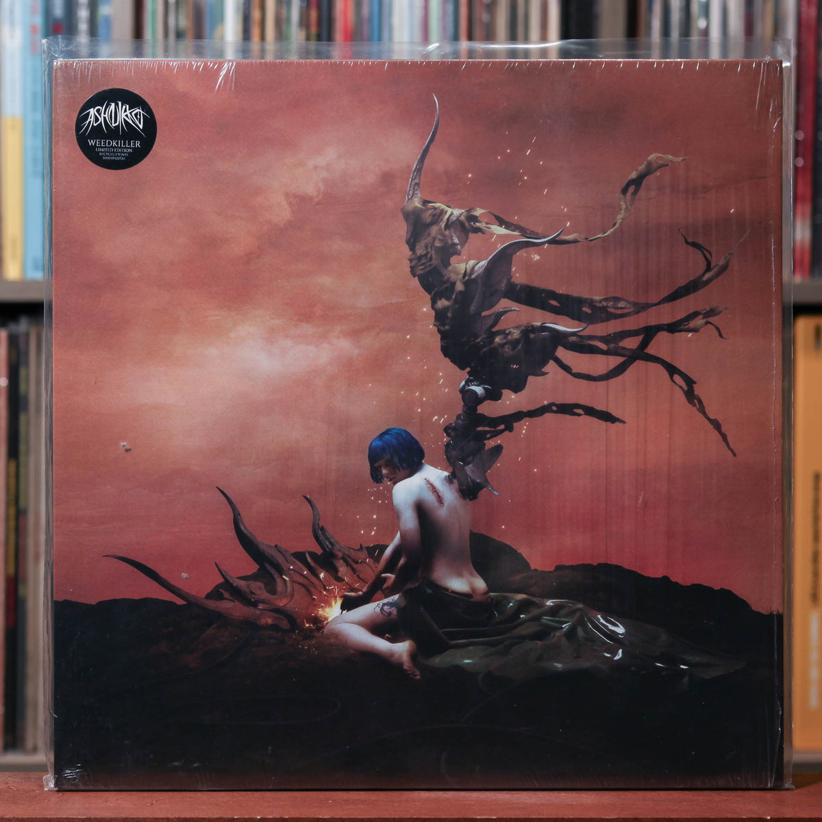 ASH  アルバム　LP CD サインあり 初のアナログレコード アルバム全7タイトル＆レコードプレーヤー