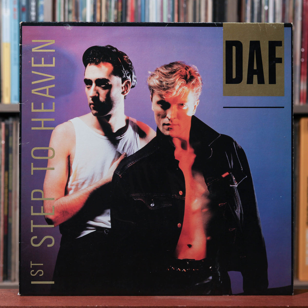 洋楽 Der Deutsch-Amerikanischen Freundschaft DAF 