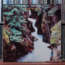 Load image into Gallery viewer, Cat Stevens - Back To Earth - 1978 A&amp;M, EX/EX 1
