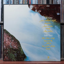 Load image into Gallery viewer, Cat Stevens - Back To Earth - 1978 A&amp;M, EX/EX 2
