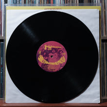 Load image into Gallery viewer, The Jimi Hendrix Experience - Are You Experienced - 2LP BOOKLET 2008 MCA, NM/EX 4
