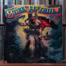 Load image into Gallery viewer, Molly Hatchet - Flirtin' With Disaster - WHITE LABEL PROMO - 1979 Epic, VG/VG 1
