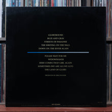 Load image into Gallery viewer, Poco - Blue And Gray - 1981 MCA, VG+/EX 2
