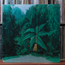 Load image into Gallery viewer, Gabor Szabo - Magical Connection - 1972 Blue Thumb, VG/VG 1
