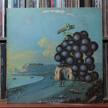 Load image into Gallery viewer, Moby Grape - Wow - 1968 Columbia, VG/VG 1
