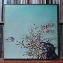 Load image into Gallery viewer, The Grateful Dead - Wake Of The Flood - 1973 Grateful Dead, VG/VG 2
