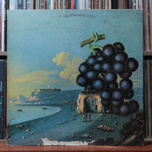 Load image into Gallery viewer, Moby Grape - 2 ALBUM BUNDLE 4
