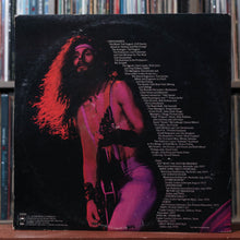 Load image into Gallery viewer, Ted Nugent - Double Live Gonzo! - 2LP 1978 Epic, VG/VG 2

