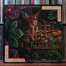 Load image into Gallery viewer, Bundle: Spyro Gyra - 2 ALBUM BUNDLE 5
