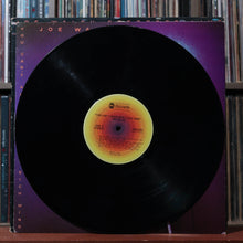 Load image into Gallery viewer, Joe Walsh - You Can't Argue With A Sick Mind - 1976 ABC, VG/VG 3
