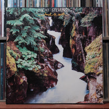 Load image into Gallery viewer, Cat Stevens - Back To Earth - 1978 A&amp;M, VG+/EX 1
