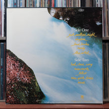 Load image into Gallery viewer, Cat Stevens - Back To Earth - 1978 A&amp;M, VG+/EX 2
