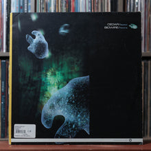 Load image into Gallery viewer, Cedar, Bio-Wire - Equinox / Karizma - UK 1999 Good Looking 1
