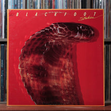 Load image into Gallery viewer, Bundle: Blackfoot - 2 ALBUM BUNDLE 2
