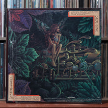 Load image into Gallery viewer, Spyro Gyra - Catching The Sun - w/ SHRINK - 1980 MCA, VG+/VG+ 2
