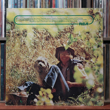 Load image into Gallery viewer, John Denver - John Denver's Greatest Hits - 1975 RCA, VG/VG 2
