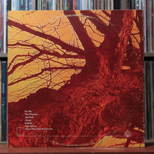 Load image into Gallery viewer, Wishbone Ash - Pilgrimage - 1973 MCA, VG/VG 2

