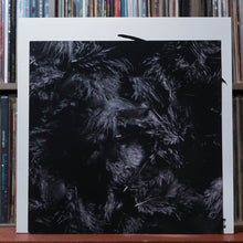 Load image into Gallery viewer, Conan Gray - Kid Krow - TRANS RED Vinyl - INSERT 2025 Republic, EX/EX 5
