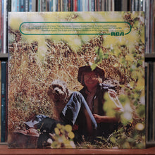 Load image into Gallery viewer, John Denver - John Denver's Greatest Hits - w/ SHRINK - 1973 RCA, EX/EX 2
