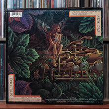 Load image into Gallery viewer, Spyro Gyra - Catching The Sun - 1980 MCA, VG+/EX 2
