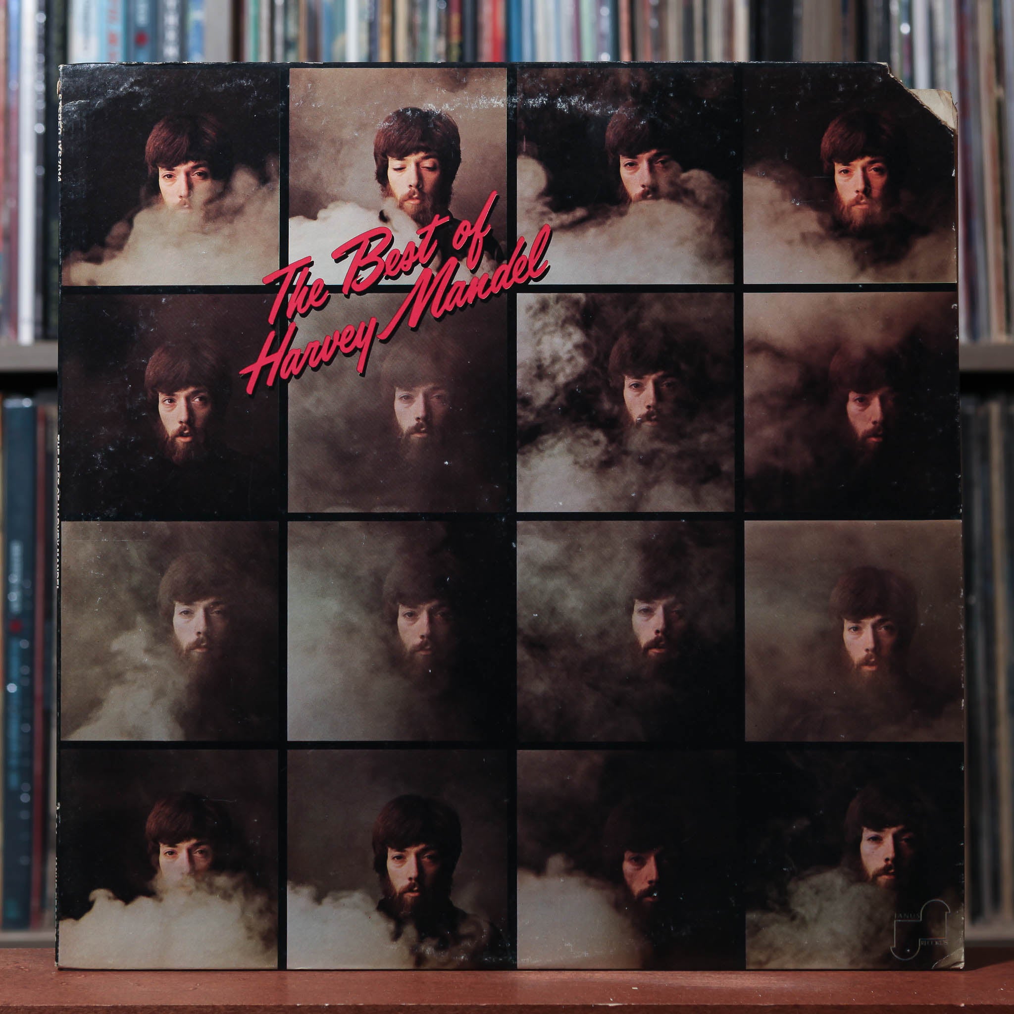 The Best of Harvey Mandel レコード Harvey Mandel - The Best Of Harvey Mandel - PROMO - 1975 Janus, VG/VG+