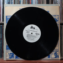 Load image into Gallery viewer, B.B. King - The Best Of B.B. King - QUADRAPHONIC PROMO - 1973 ABC, VG/VG 3
