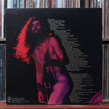 Load image into Gallery viewer, Ted Nugent - Double Live Gonzo! 2LP - 1978 Epic, VG/VG 2
