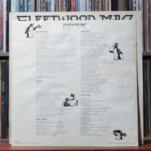 Load image into Gallery viewer, Fleetwood Mac - Fleetwood Mac - INSERT 1975 Reprise, VG/VG 5
