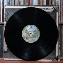 Load image into Gallery viewer, Alice Cooper - Alice Cooper's Greatest Hits - 1974 Warner Bros., VG/VG+ 3
