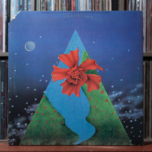 Load image into Gallery viewer, Mahavishnu Orchestra - Visions Of The Emerald Beyond - PROMO - 1975, VG+/VG+ 2
