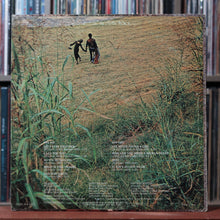 Load image into Gallery viewer, Al Green - Let's Stay Together - 1972 Hi 2
