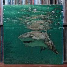 Load image into Gallery viewer, Jimmy Buffett - Living And Dying In 3/4 Time - 1980 MCA, VG+/VG 2
