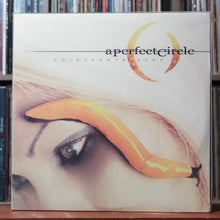 Load image into Gallery viewer, A Perfect Circle - Thirteenth Step - 2LP 2003 Virgin, SEALED 1

