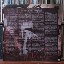Load image into Gallery viewer, My Chemical Romance - The Black Parade - ETCHED - 2LP INSERT 2021 Reprise, EX/EX 10
