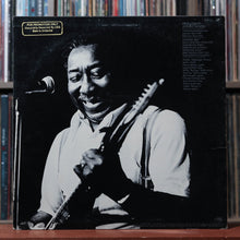 Load image into Gallery viewer, Muddy Waters - Muddy "Mississippi" Waters Live - PROMO - 1979 Blue Sky, VG/VG+ 2

