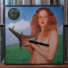 Load image into Gallery viewer, Blind Faith - Blind Faith - SHRINK HYPE 1977 RSO, VG+/VG+ 1
