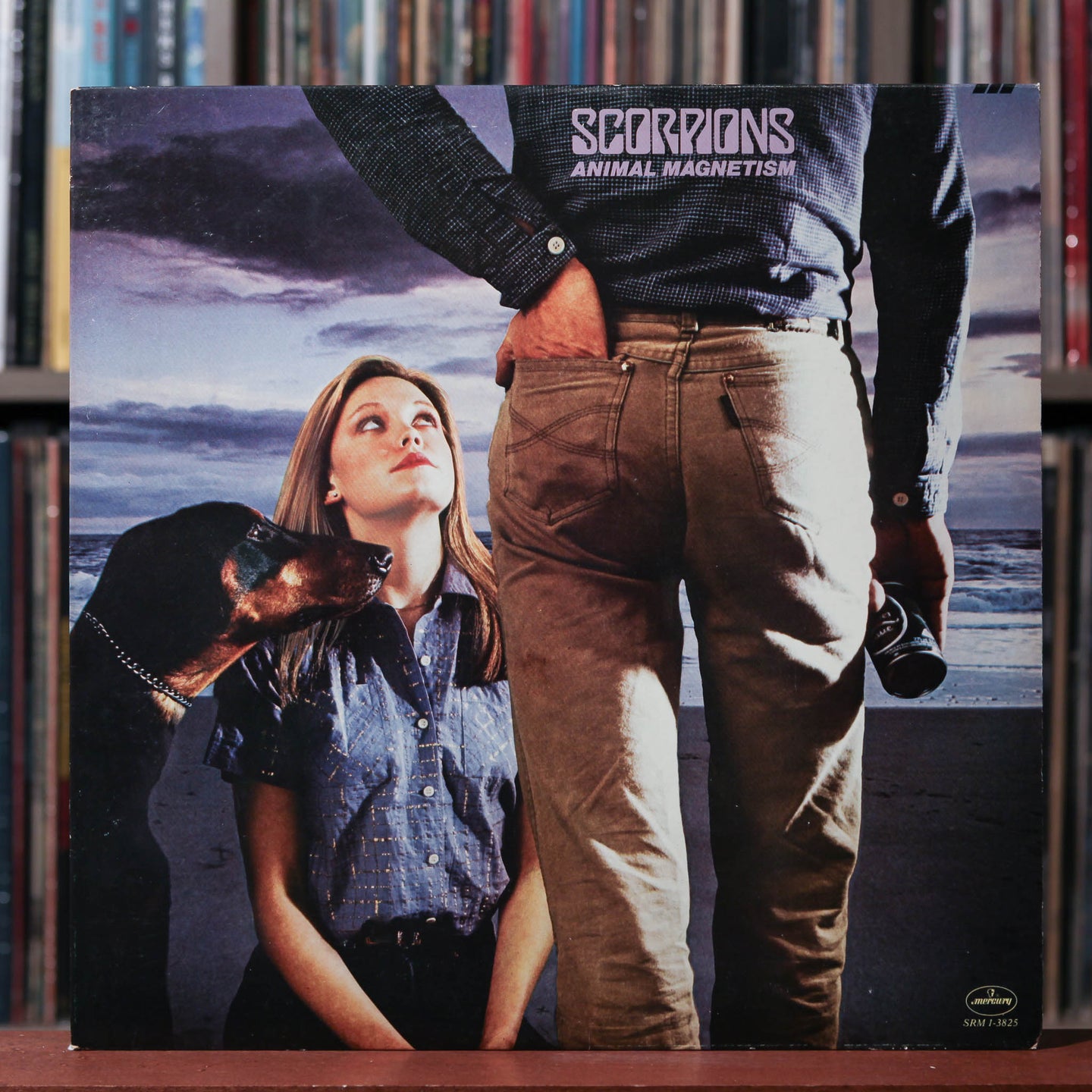 Scorpions - Animal Magnetism - W/ INSERT 1980 Mercury, VG+/VG