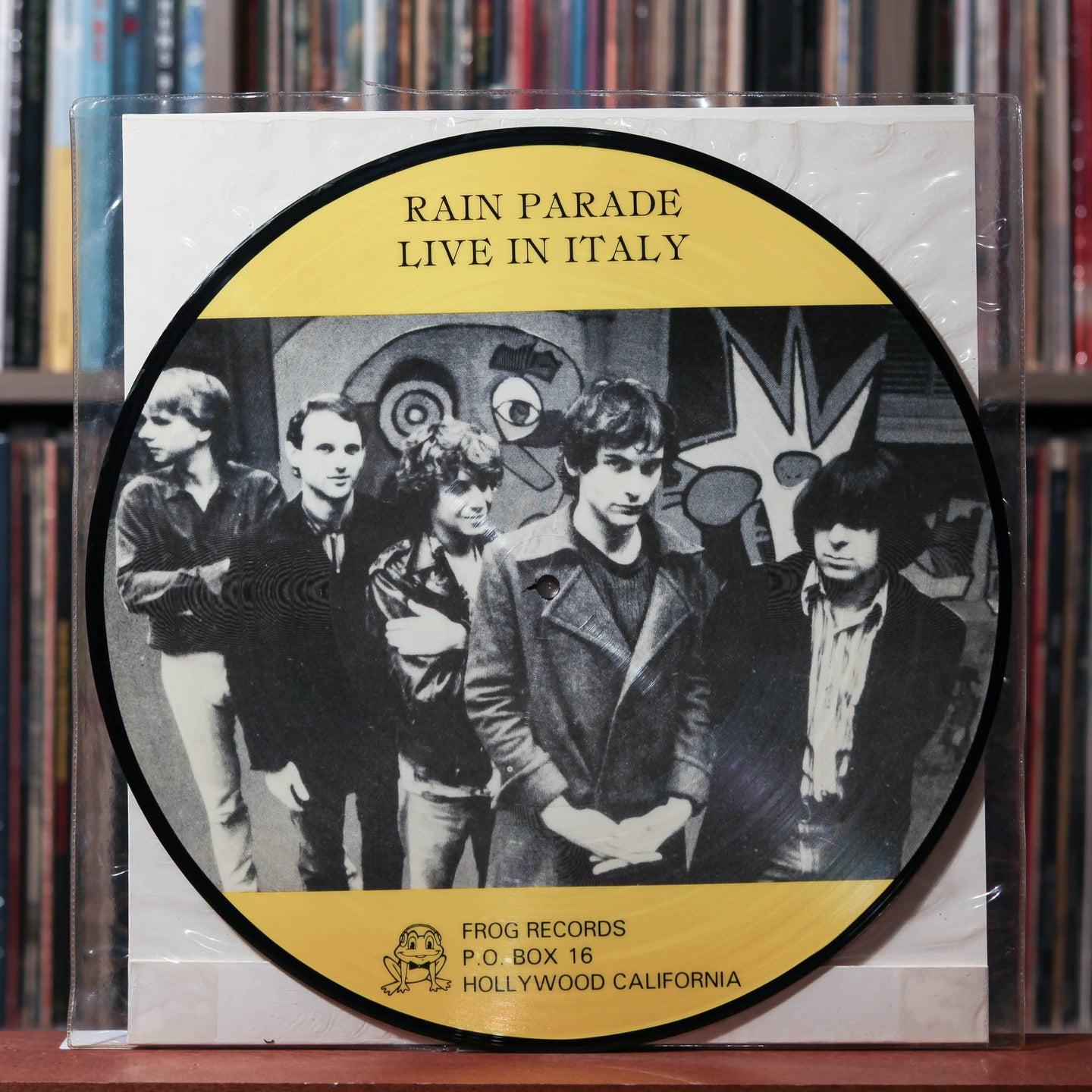 Rain Parade - Live In Italy - ITALY PICTURE DISC 1984 - Frog Records, VG+/NM