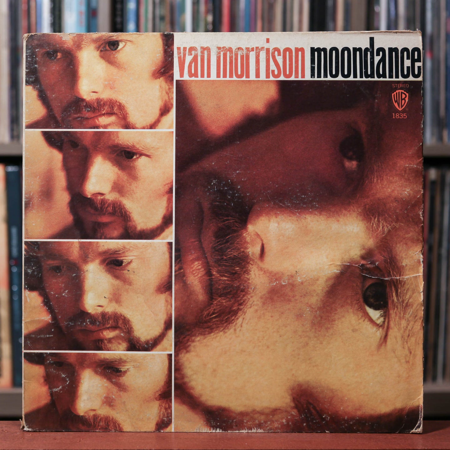 Van Morrison - Moondance - 1980's WB - VG/VG