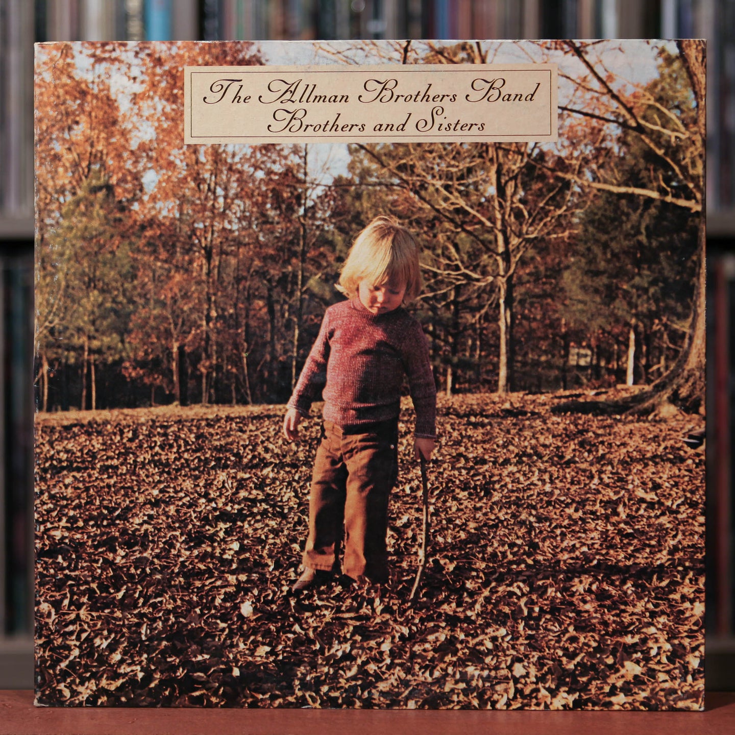 Allman Brothers -Brothers And Sisters - 1973 Capricorn, EX/VG+