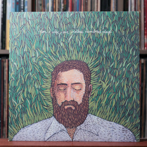 Iron & Wine - Our Endless Numbered Days - 2004 Sub Pop - EX/EX