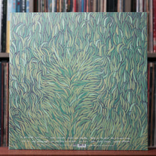 Load image into Gallery viewer, Iron &amp; Wine - Our Endless Numbered Days - 2004 Sub Pop - EX/EX
