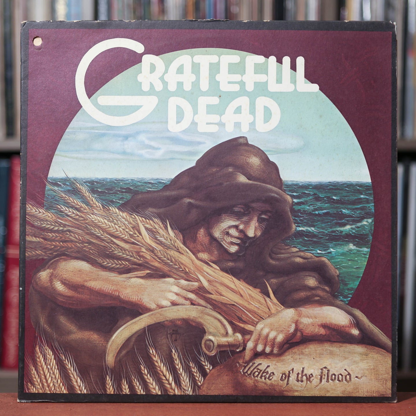 Grateful Dead - Wake Of The Flood - 1973 Grateful Dead Records, VG/VG+