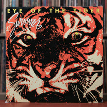Load image into Gallery viewer, Survivor - Eye Of The Tiger - 1982 Scotti Bros, VG+/VG+
