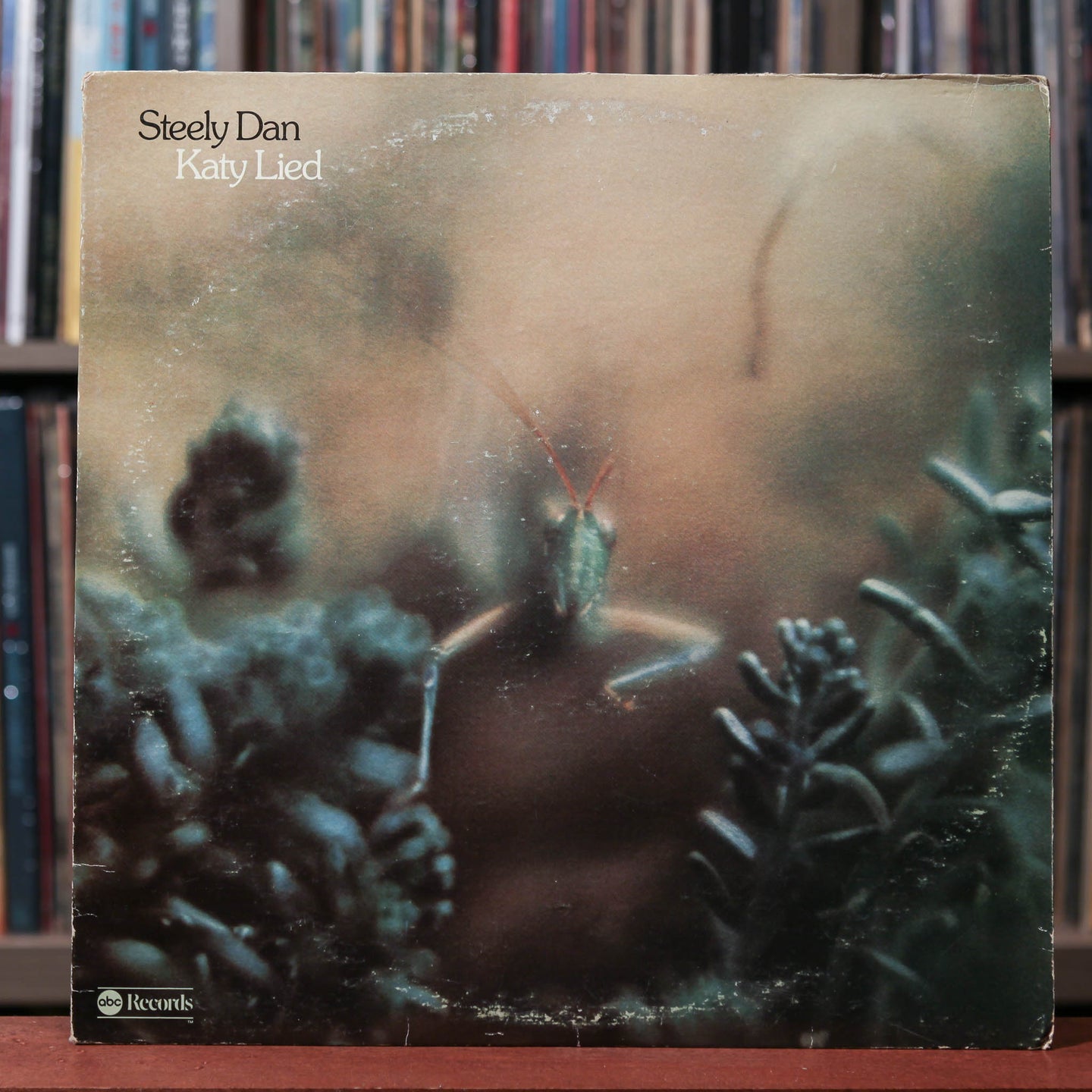 Steely Dan - Katy Lied - 1975 MCA, VG/VG